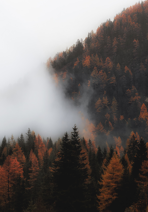 Varaschin | Moodboard | Autumn vibes background